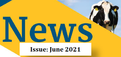 June Newsletter 2021
