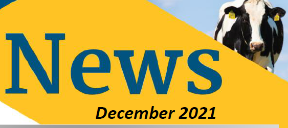 December Newsletter 2021