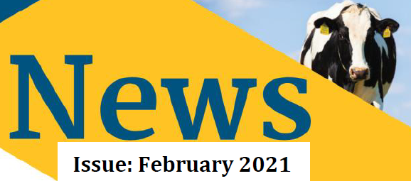 February Newsletter 2021