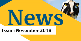 November Newsletter 2018