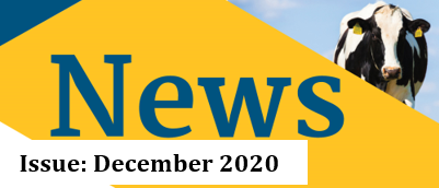 December Newsletter 2020