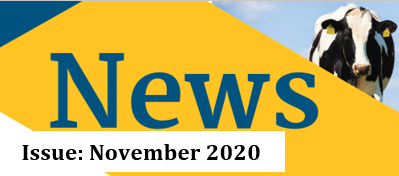 November Newsletter 2020